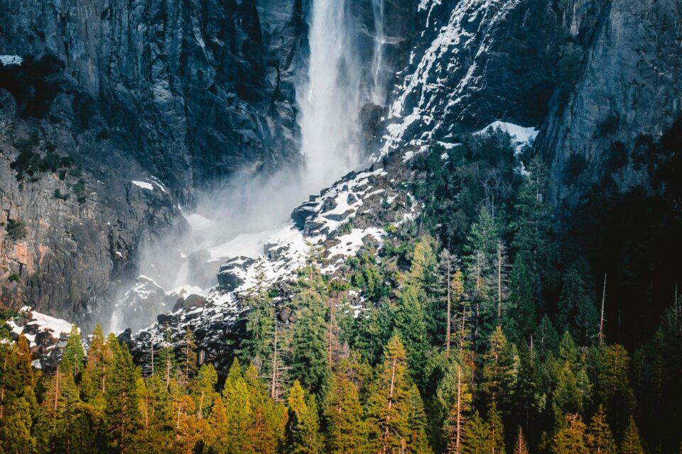 Colors of Nature