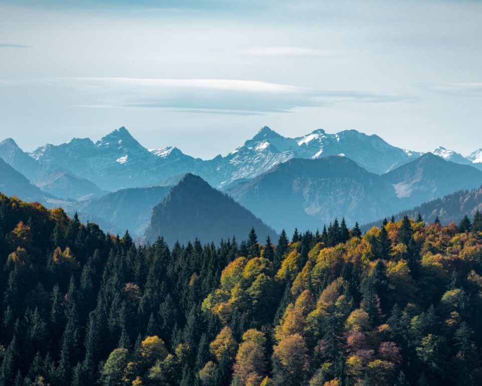 Mountains Forest