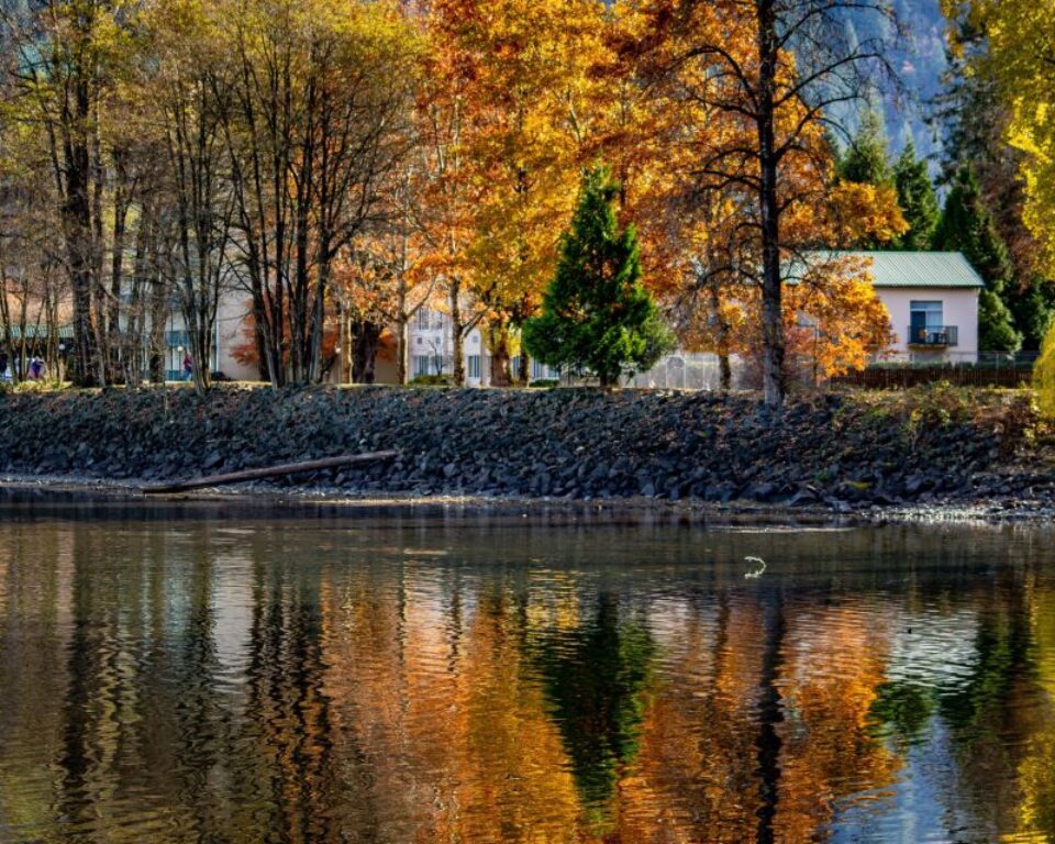 Fall